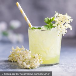 Fever Tree Refreshingly Light Elderflower