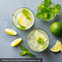 Radnor Splash Still Lemon and Lime