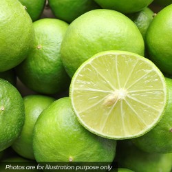 Limes