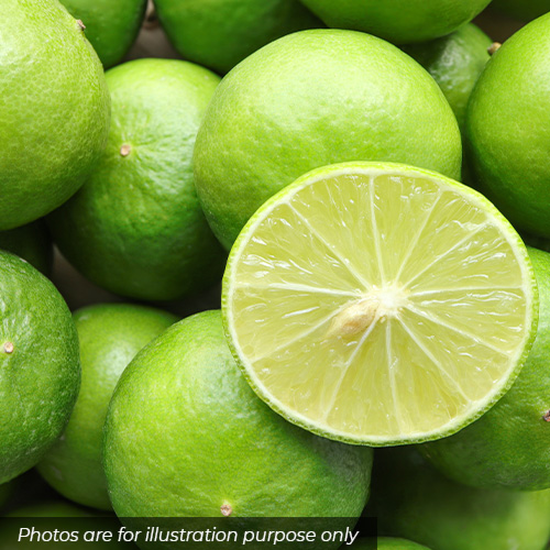 Limes