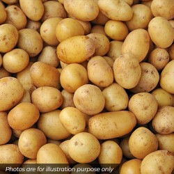 Potatoes