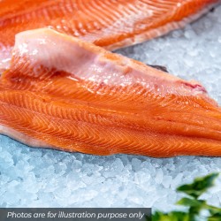 Frozen Salmon Fillets D Trim