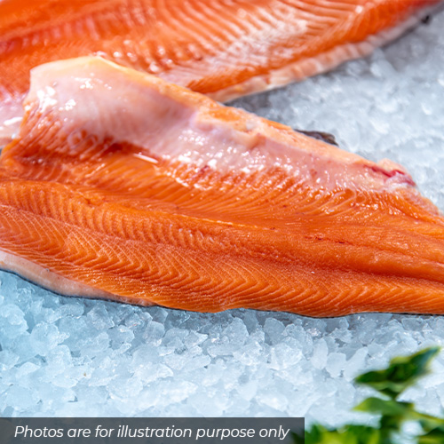Frozen Salmon Fillets D Trim Frozen Salmon Fillets D Trim