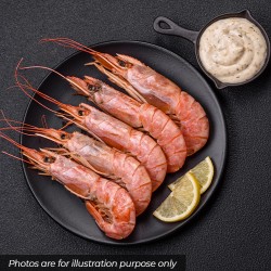 Whole Scottish Langoustines Whole Scottish Langoustines
