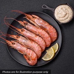 Whole Scottish Langoustines